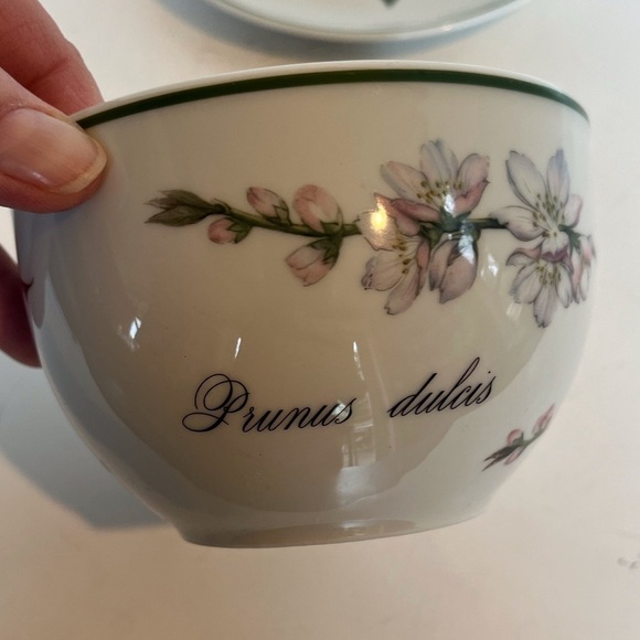 Apilco French Elysian Garden Porcelaine Oversized Breakfast Cup and Saucer - Picture 6 of 15